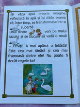 Load image into Gallery viewer, RATUSCA CEA URATA DESCOPERA CUVINTELE MISTERIOASE DIN POVESTE
