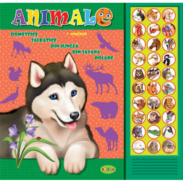 ANIMALE DOMESTICE SI SALBATICE EDITURA DORINTA