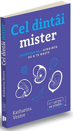 CEL DINTAI MISTER Katharina Vestre