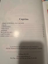 Load image into Gallery viewer, Povestirile copilariei
