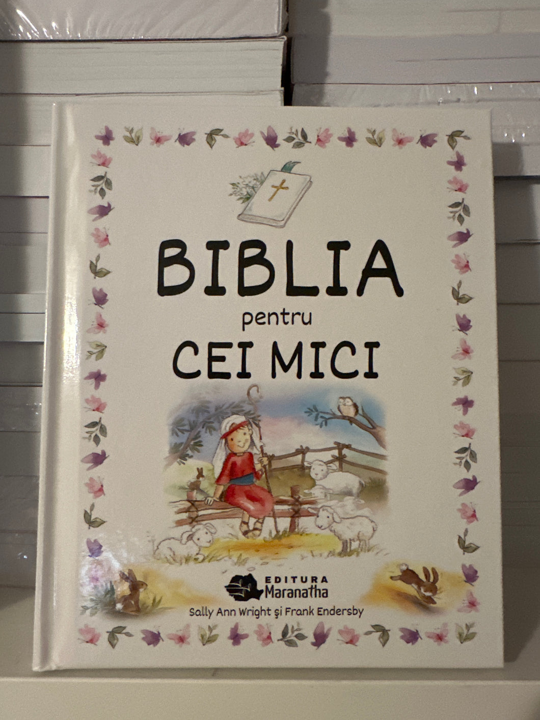 BIBLIA PENTRU CEI MICI