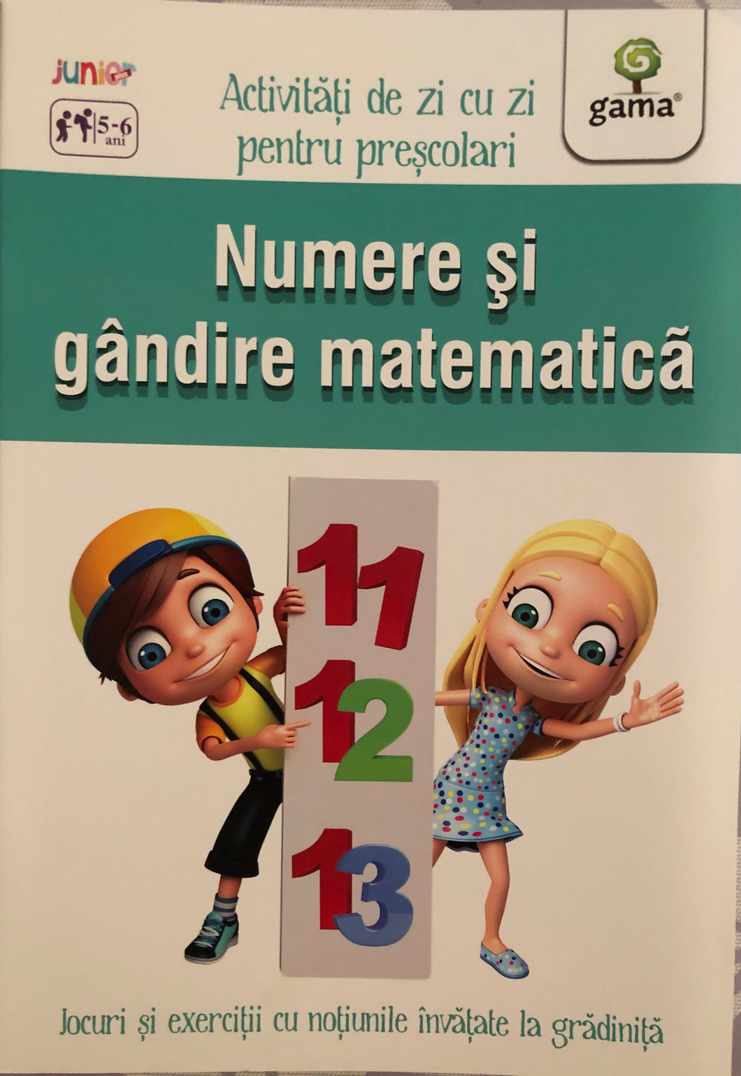Numere si gandire matematica 5-6 ani