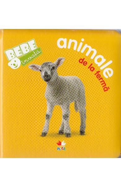 Animale de la ferma - bebe invata