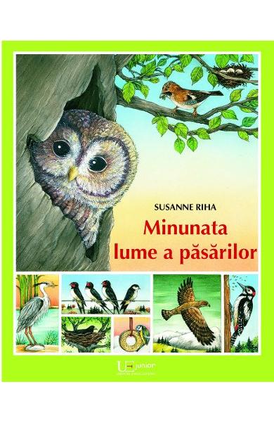 Minunata lume a pasarilor
