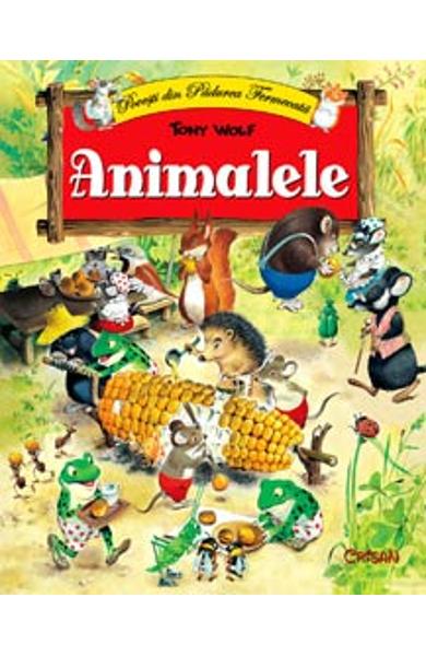 Povesti din Padurea Fermecata Animalele Tony Wolf