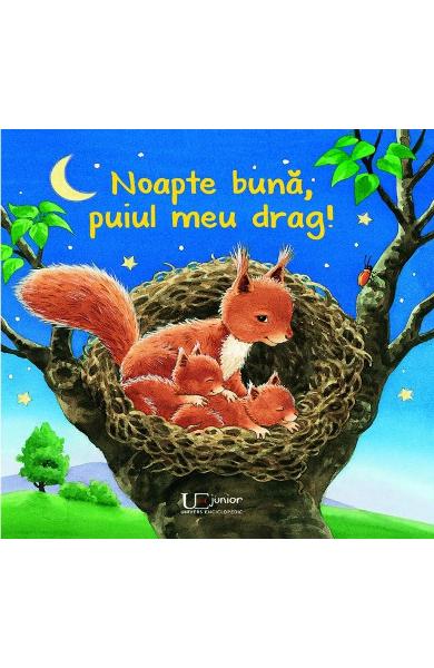 NOAPTE BUNA PUIUL MEU DRAG