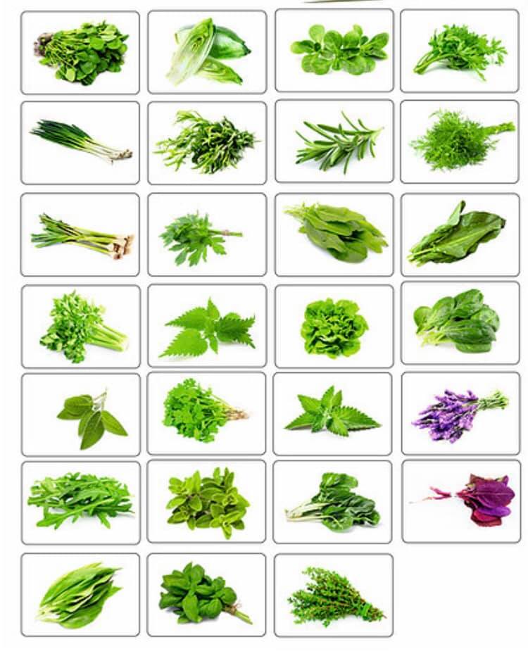 VERDETURI CARDURI PLASTIFIATE