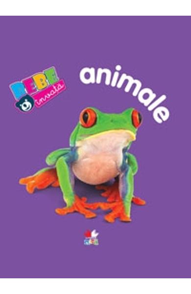 ANIMALE PRIMELE CUVINTE BEBE INVATA