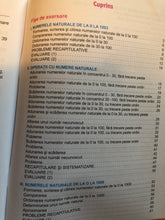 Load image into Gallery viewer, MATEMATICA culegere de exercitii si probleme clasa a II a
