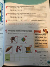 Load image into Gallery viewer, MATEMATICA SI EXPLORAREA MEDIULUI CULEGERE PENTRU CLASA A II A
