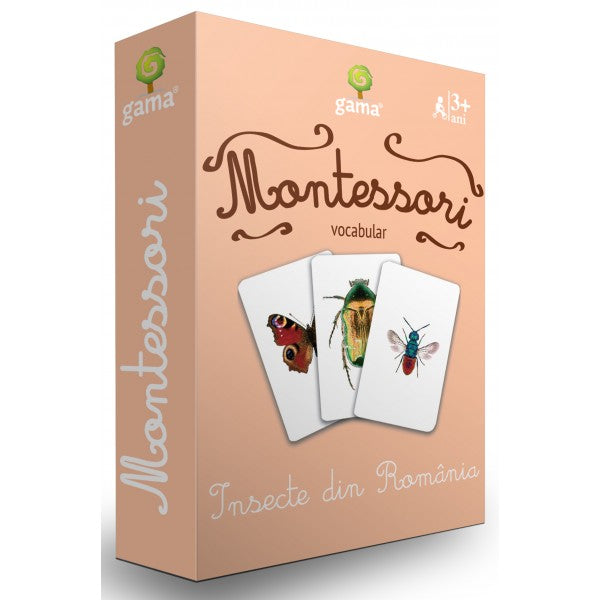 Insecte din Romania Montessori